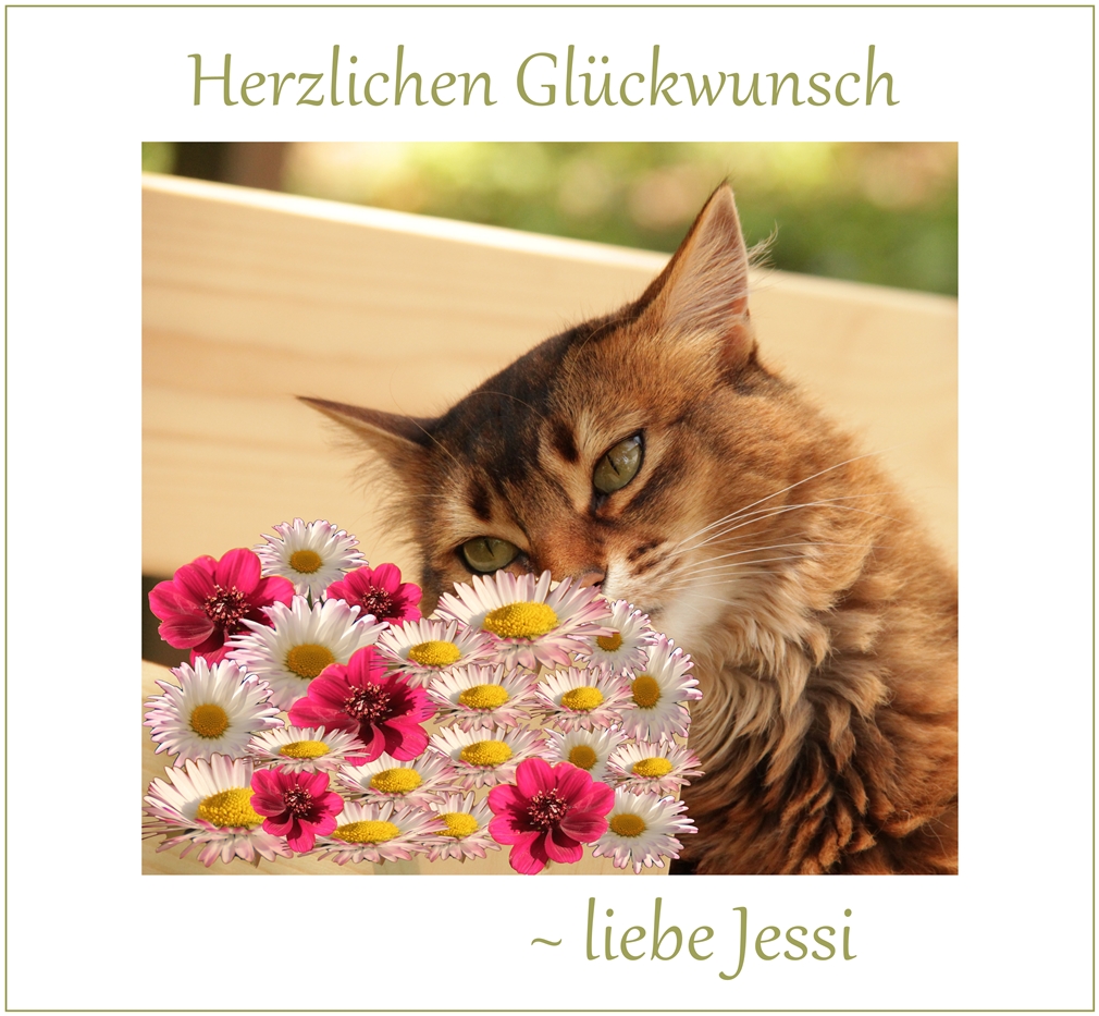 Jessi hat Geburtstag