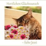 Jessi hat Geburtstag