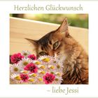 Jessi hat Geburtstag