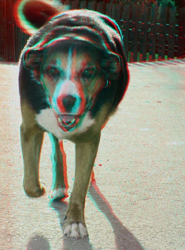 JESSY (3D rot/cyan Brille verwenden)