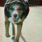 JESSY (3D rot/cyan Brille verwenden)