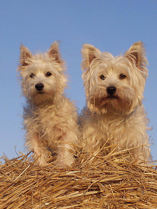 jessy und Jenny