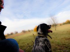 Jester und der Blick für die Schönheiten des Herbstes