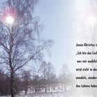 Jesus - das Licht der Welt....Johannes 8,12