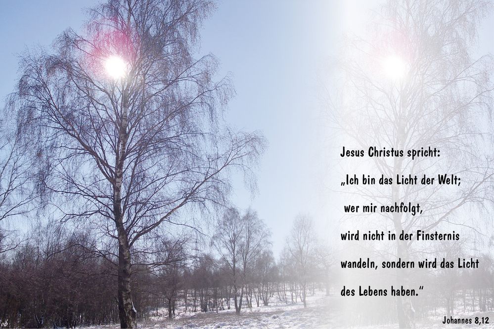 Jesus das Licht der Welt....Johannes 8,12 Foto & Bild karten und