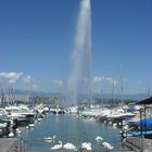 Jet d'Eau avec son port et ses cygnes