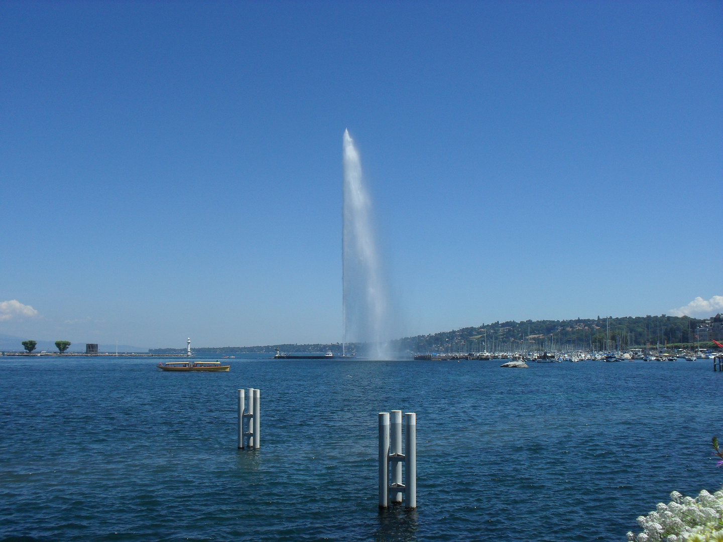 Jet d'Eau 