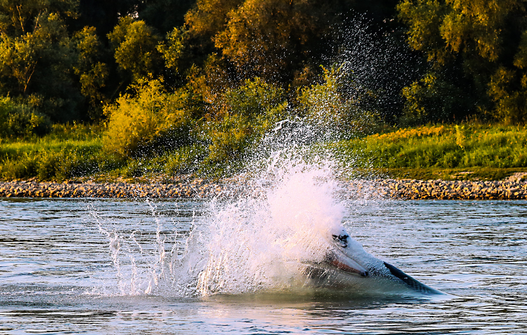 JetSki Kawasaki 750 SXI 08-2013 Rhein-2