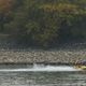 Jetskifahrer auf dem Rhein