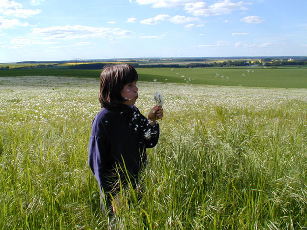 Jette und die Pusteblume