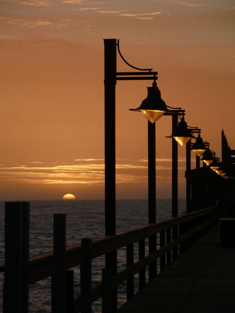 Jetty von Wölfchen 