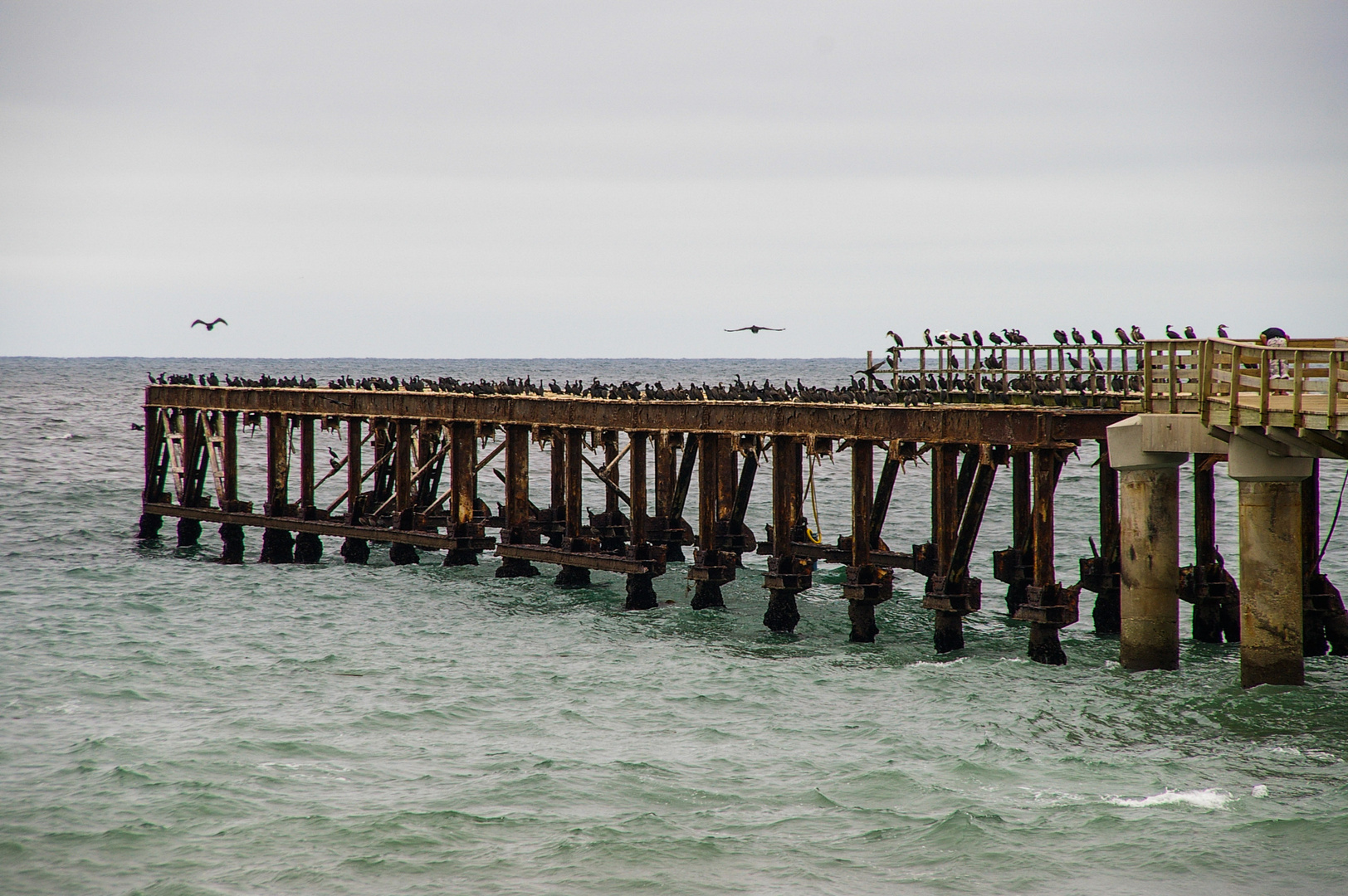 Jetty Swakop 2008