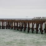 Jetty Swakop 2008