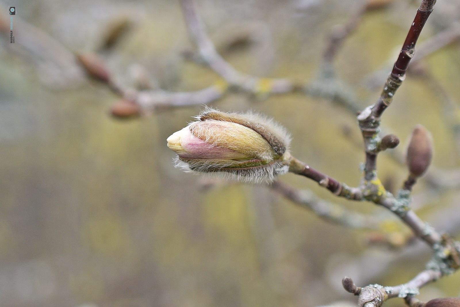 "Jetzt aber ab zum Friseur! Es ist Frühling!"