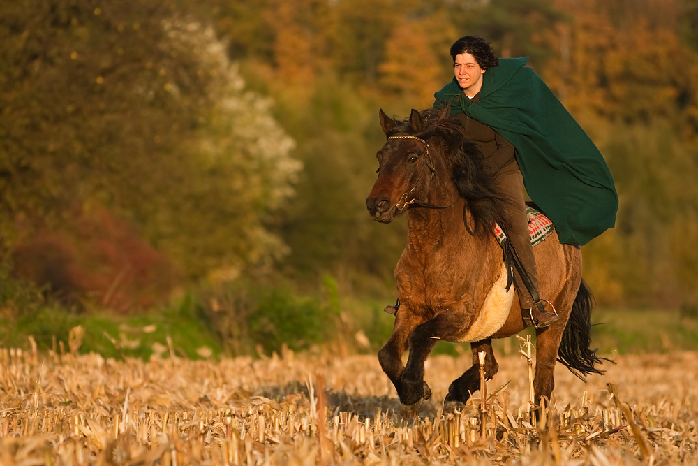 Jetzt aber im Galopp..