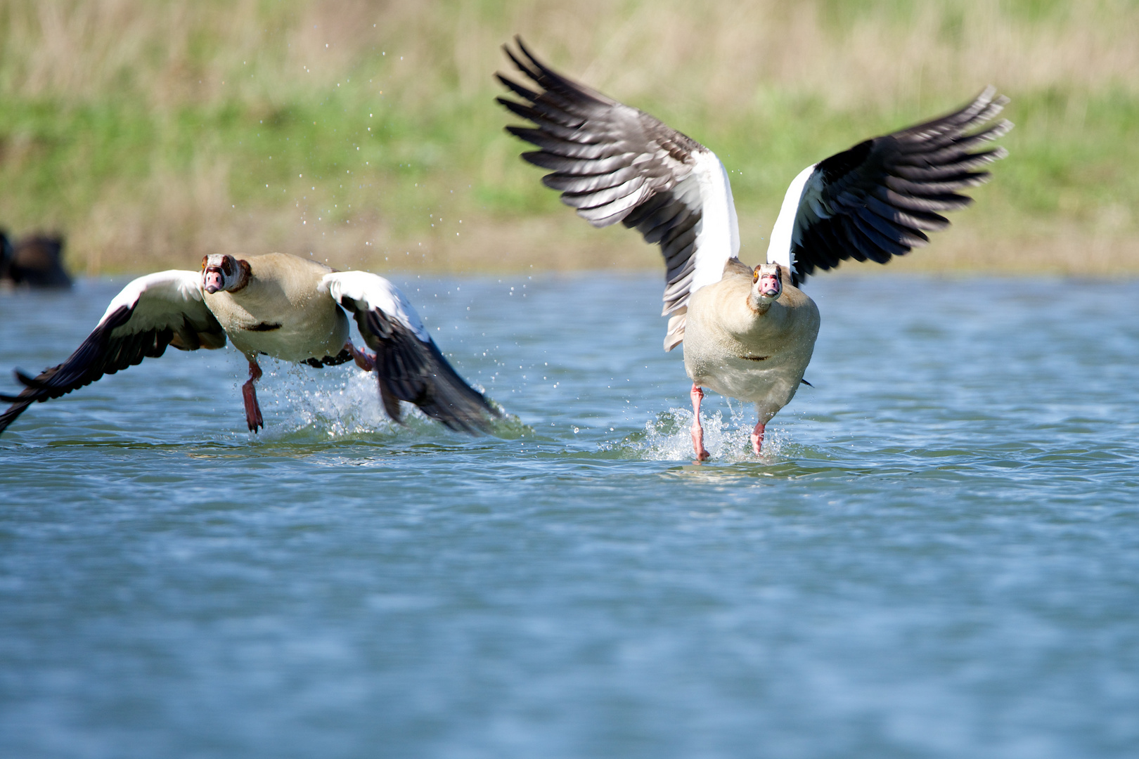 Jetzt aber schnell ducken :)