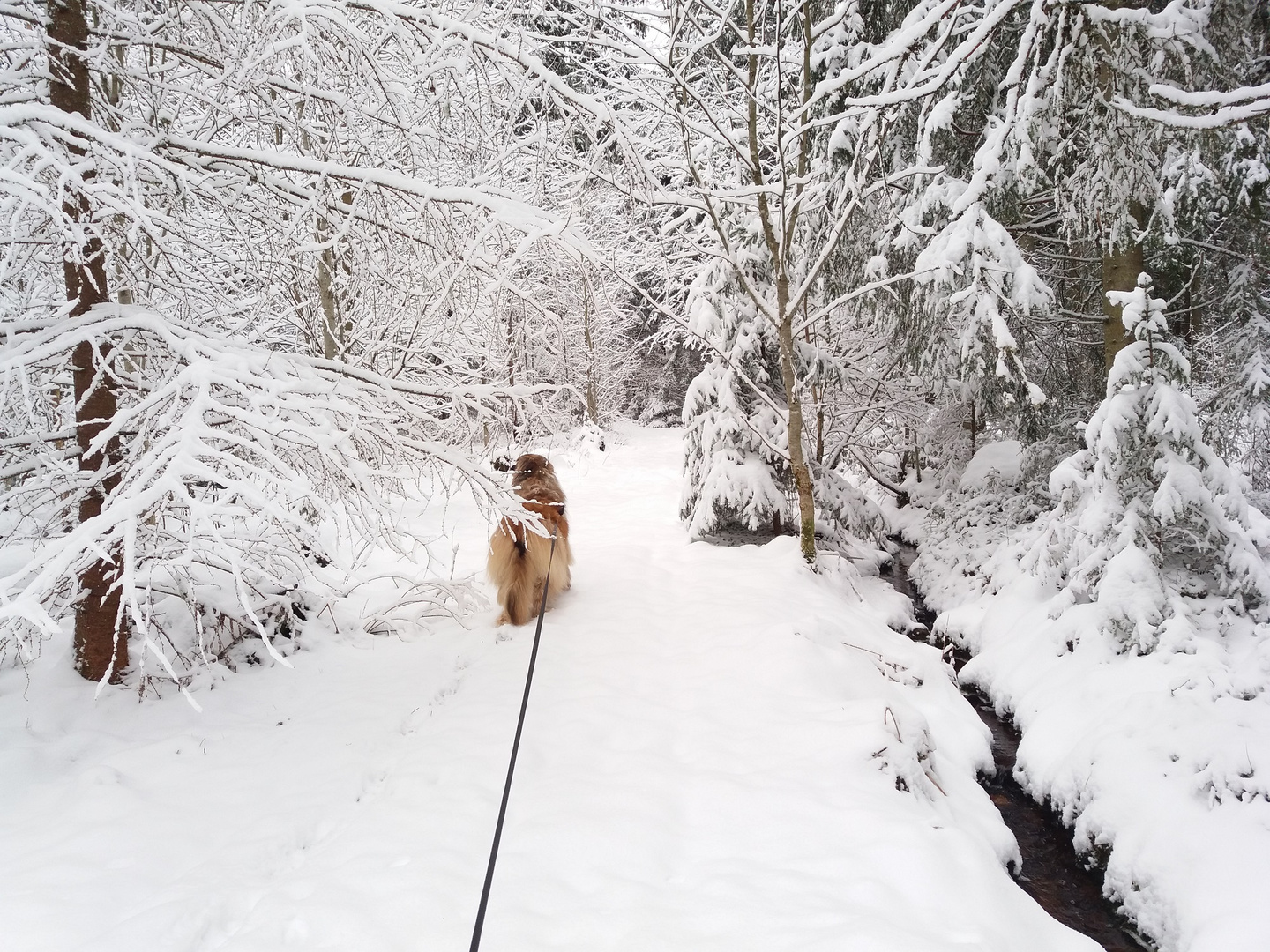 ... jetzt am 3.April, kam nochmal der Winter zurück! ...