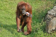 jetzt auch schon im Zoo