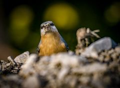 "JETZT BITTE NOCH LÄCHELN"