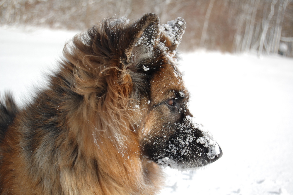 jetzt chunt ändlich dä Schnee ;-)