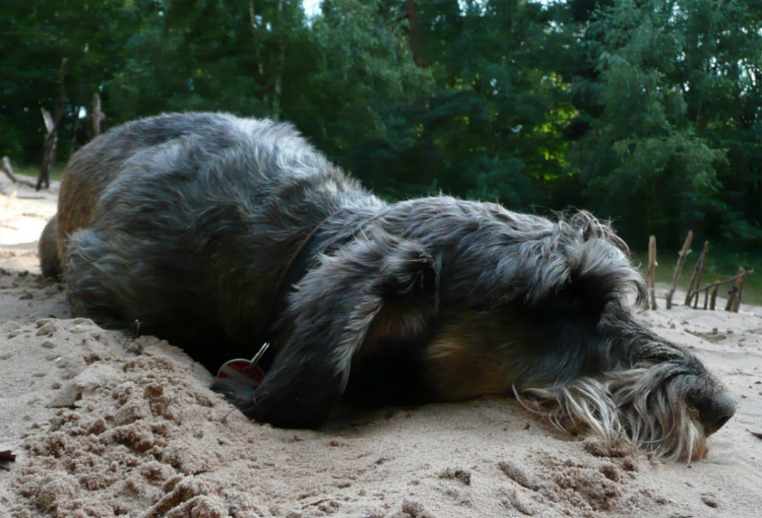 Jetzt ein kühles Sandbad