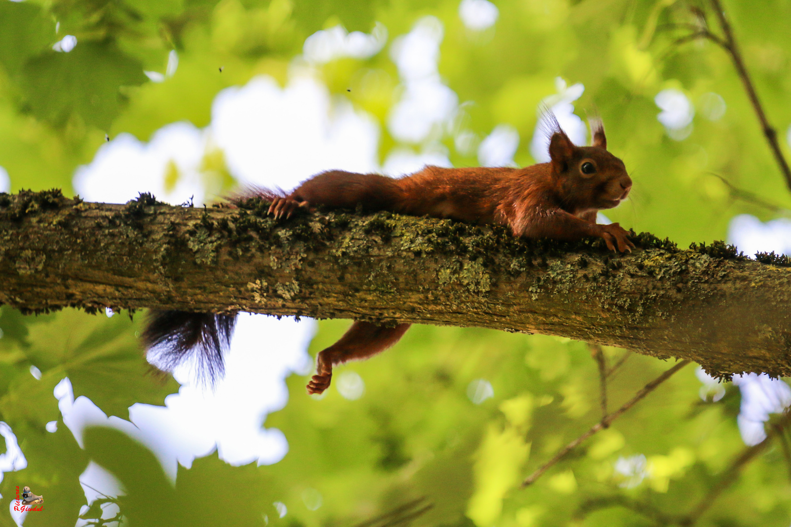 "Jetzt erst mal relaxen!"