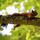 "Jetzt erst mal relaxen!"