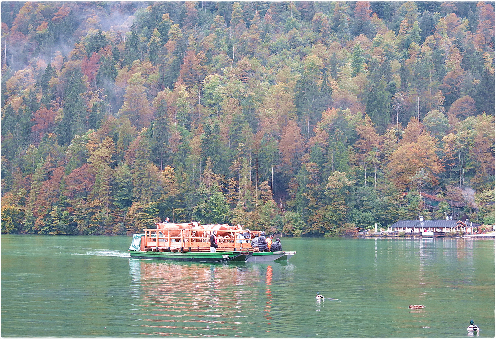 jetzt fahr'n wir überm see........