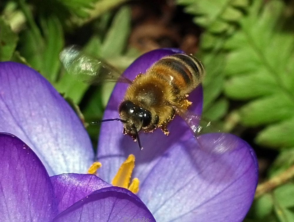 jetzt fliegen sie wieder