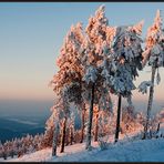 Jetzt geht er dahin...der Winter