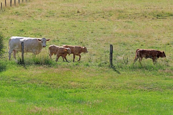 Jetzt geht es Richtung nach Hause ihr "Raudis" :-)) (aus JPEG Datei erstellt)