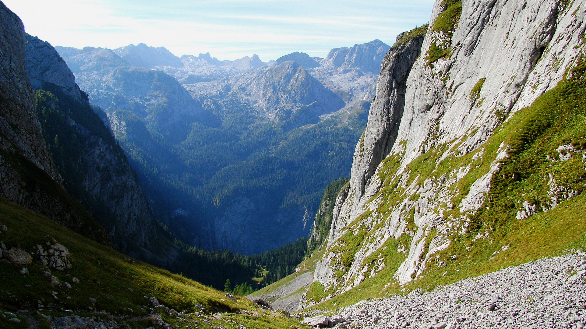 Jetzt gehts steil bergab ins Landtal mit seinen wunderschönen Wiesen und Lärchen