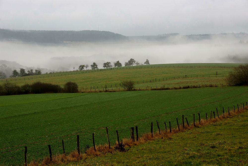 Jetzt gibt`s Novemberwetter Anfang Januar ....