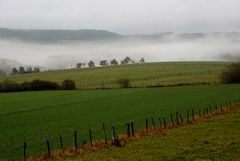 Jetzt gibt`s Novemberwetter Anfang Januar ....