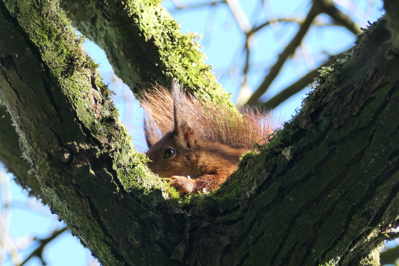 Jetzt gucken alle...da muss ich mich verstecken