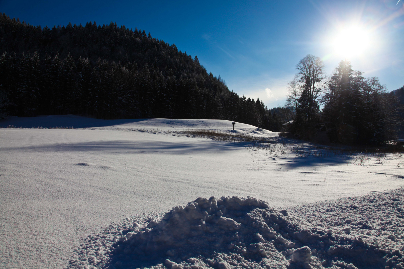 jetzt haben wir auch ein bisserl Schnee