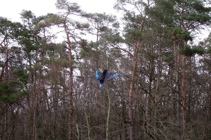 Jetzt hängt er im Baum