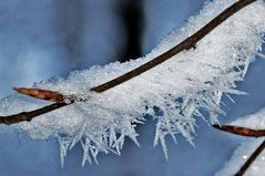 Jetzt hat am Arber der Winter echt angefangen!