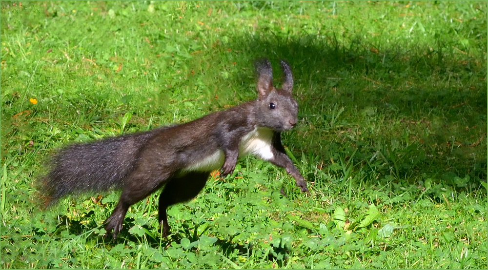 Jetzt in die Sonne fliegen…,