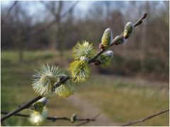 Jetzt ist der Frühling angekommen