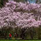 Jetzt ist der Frühling da