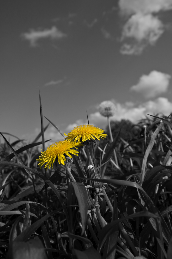 jetzt ist der Sommer vorbei!