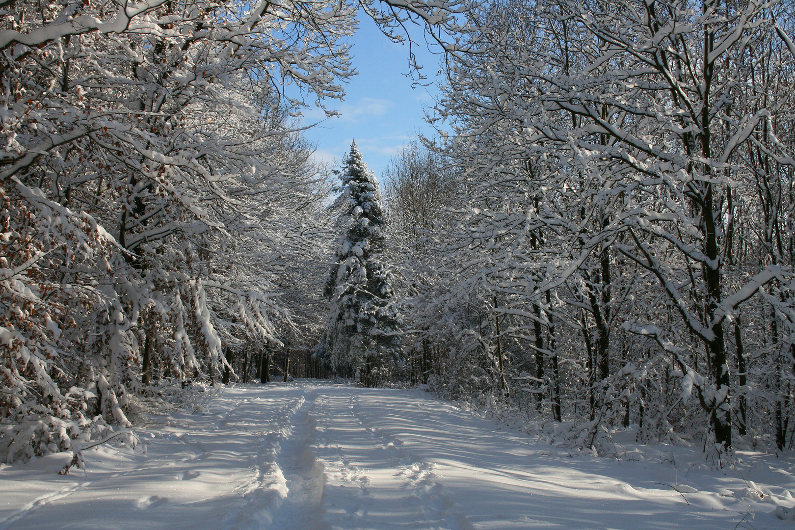 Jetzt ist der Winter