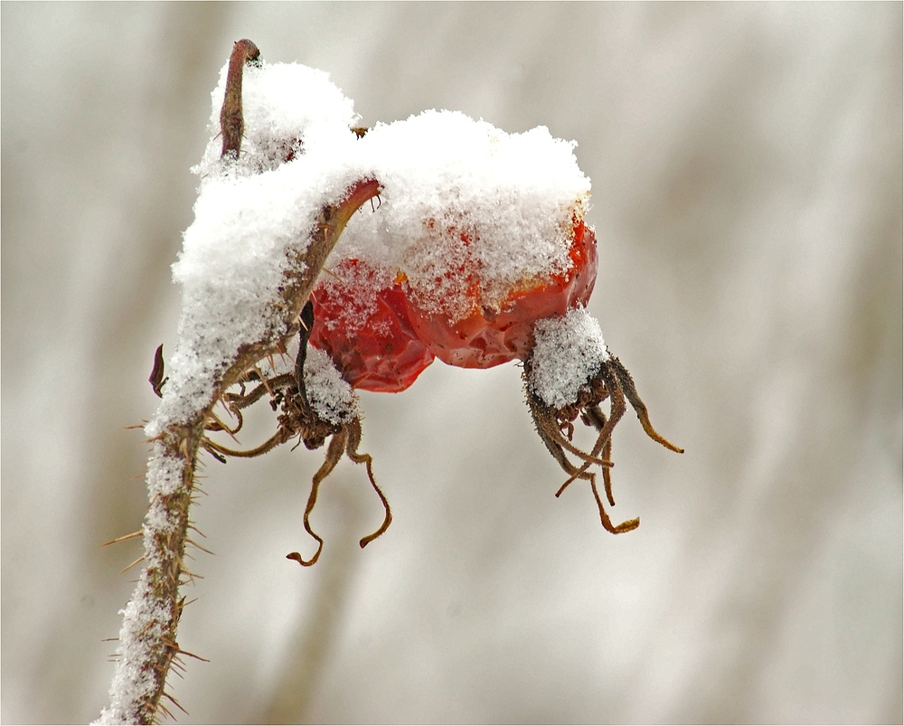 Jetzt ist der Winter da