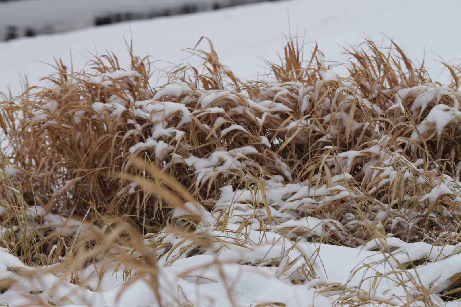 jetzt ist der Winter da