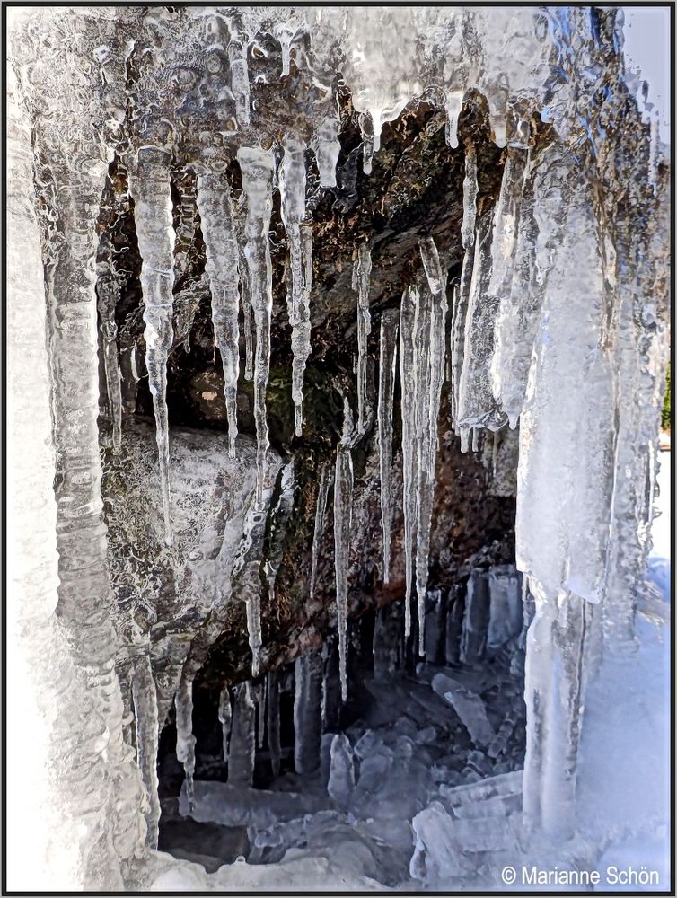 Jetzt ist die Pracht verschwunden&hellip; Foto &amp; Bild winter, natur