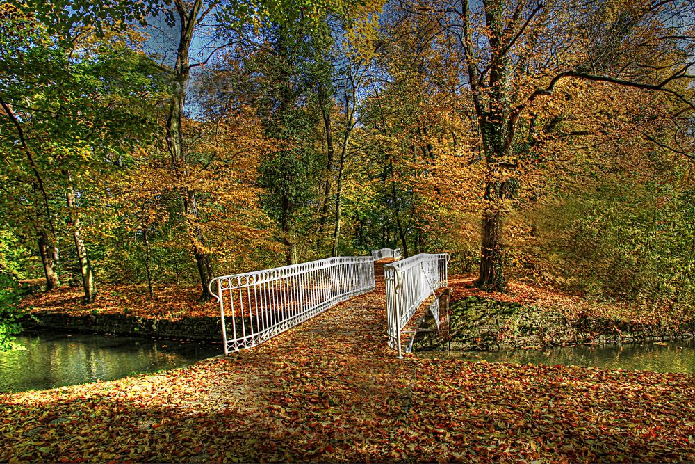 Jetzt ist er da, der Herbst....