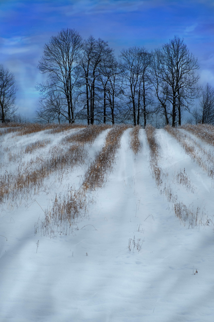 Jetzt ist er da- der Winter