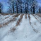 Jetzt ist er da- der Winter