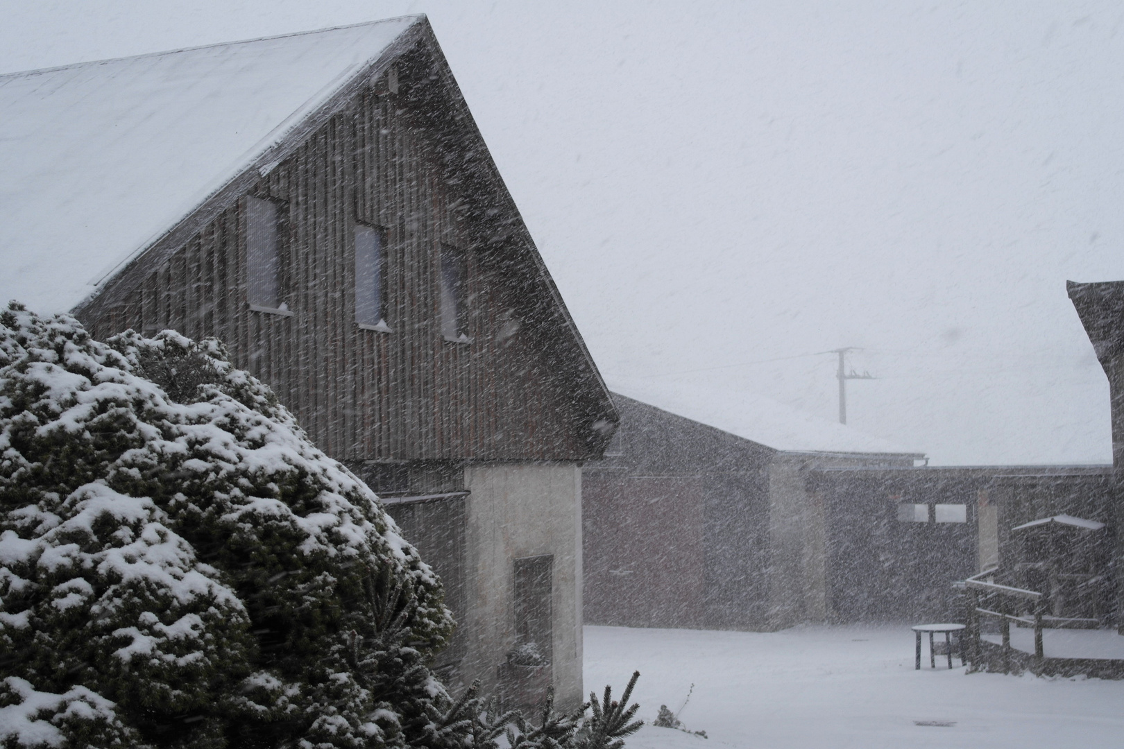 Jetzt ist er da :Endlich mal wieder Schnee :-) !